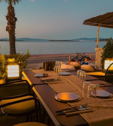 Tare Suites