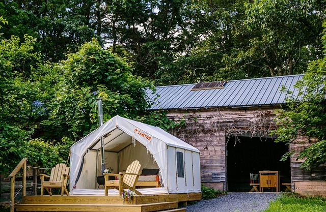 Tentrr Signature Site - The Old Catskill Game Farm Abandoned Zoo: Fido's Viney