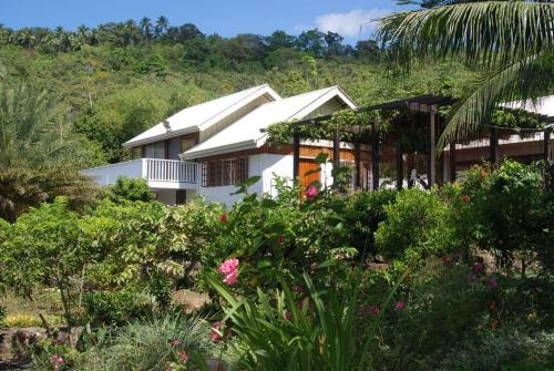 The Amazing Villa