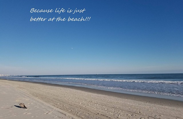 The Beach is my Happy Place - Is it yours?
