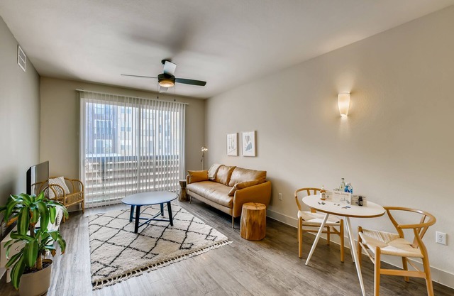 The Bindel: The Domain, Amazing Location- All bills Paid + Pet Friendly
