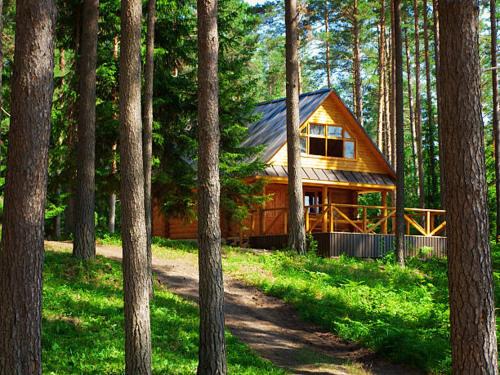 The Cabin in the Woods
