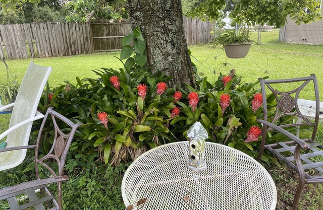 The Compass Cottage: A Cheerful 1 Bed /1 Bath