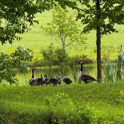 The Farmhouse at Deer Run