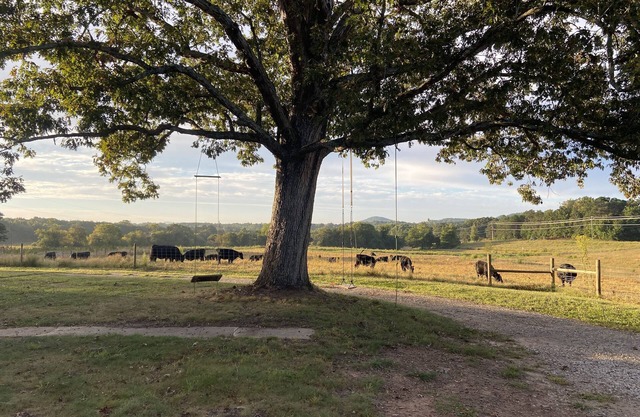 The Farmhouse at Highlands Family Farms
