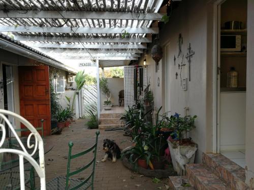 The Fever Tree Guest House