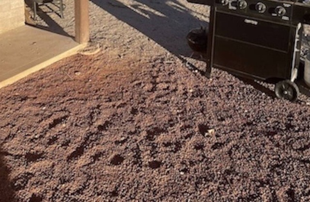 The Hideaway - Desert Glamping