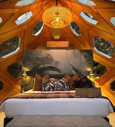 The Hive - Jungle at Misty Mountain Reserve