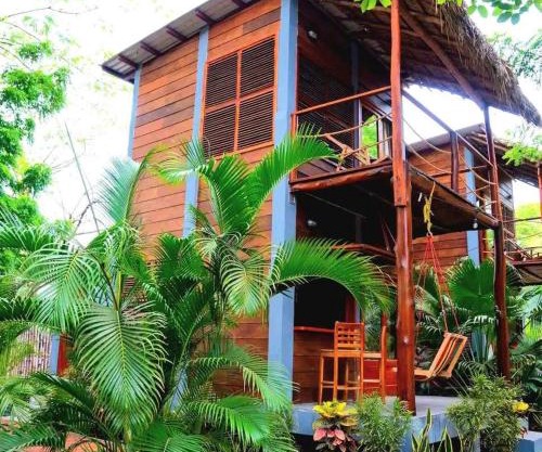 The Monkeys Nest