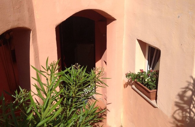 The oleanders of Calarossa Sardinia