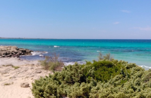 The Palace Spacious and bright apartment between 2 seas and near Lecce
