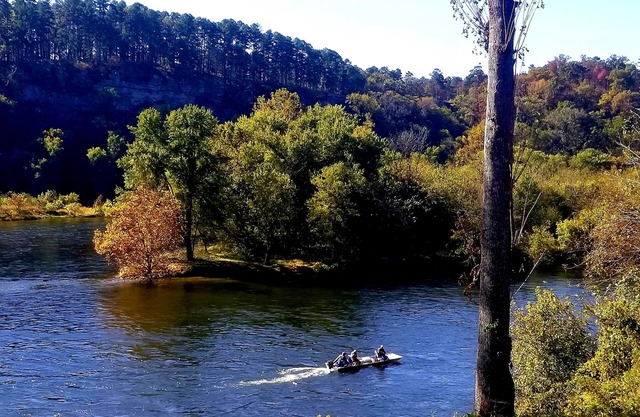 The Shoals Lodge-Amazing White River views!