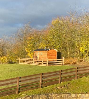 The Snug at Coed Y Gaer
