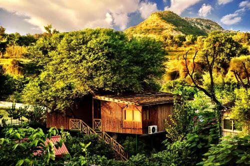 The Tree House Resort, A Club Mahindra Associate