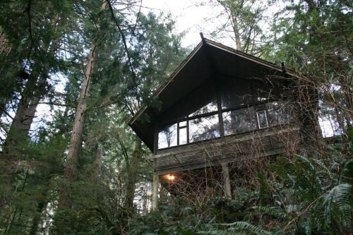 The Treehouse