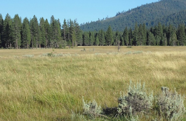 The Valley House- Unit 1 In Beautiful Sierraville