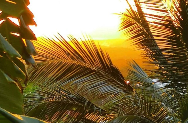 The yole countryside view