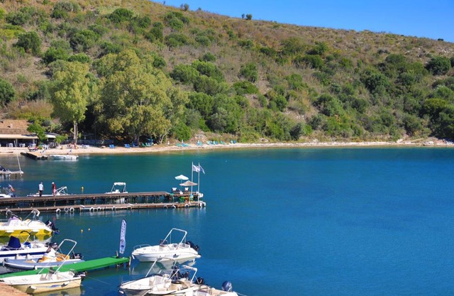 Theophilos Dio