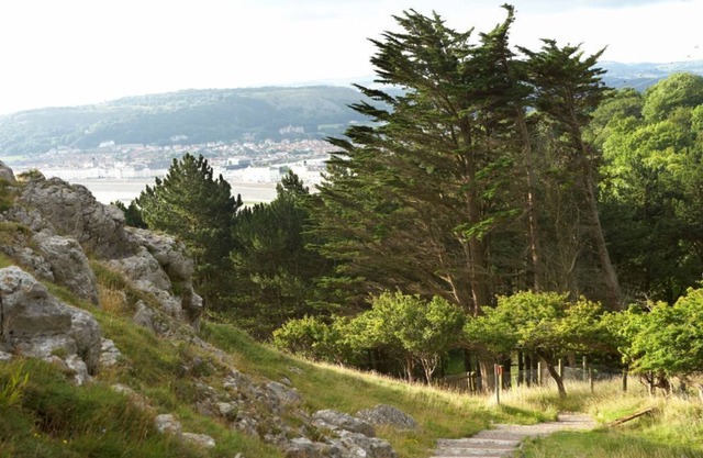 This secluded cottage is part of a small working farm, offering luxury accommodation for two guests.