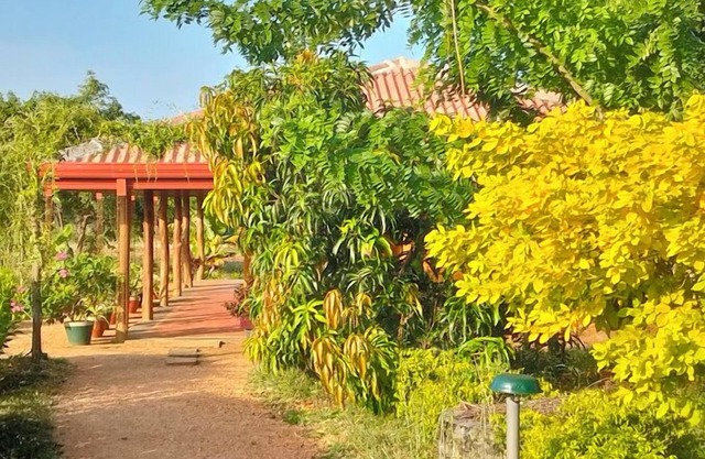 Tiara Elephant Lodge
