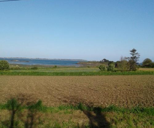 Tiny house sur la Presqu'île Sauvage