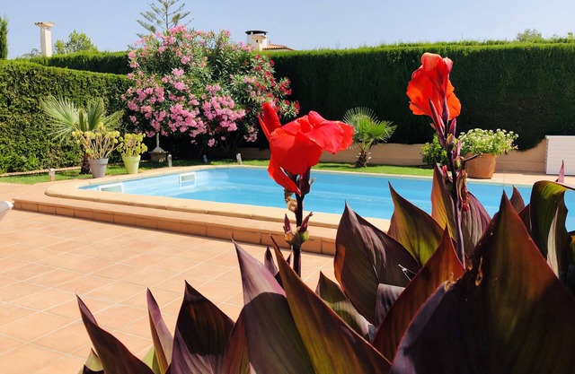 Top maintained and fully equipped holiday home with pool near the beach