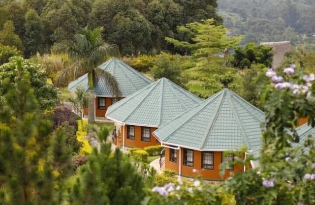 Top of The World Lodge