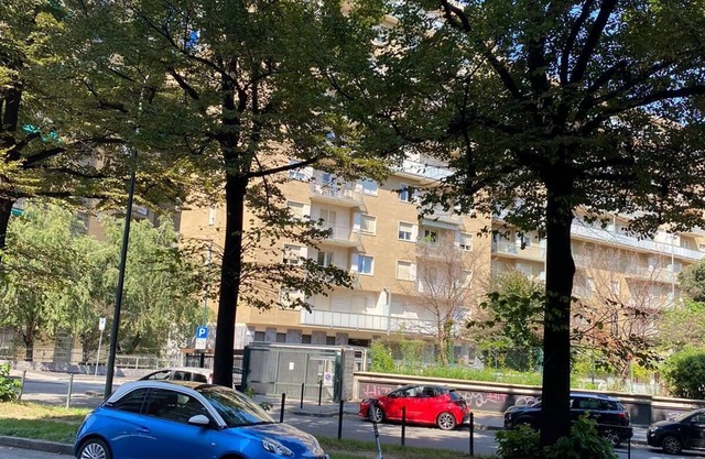 TopLoft 2 95sqm Free WiFi and Parking(blue zone)