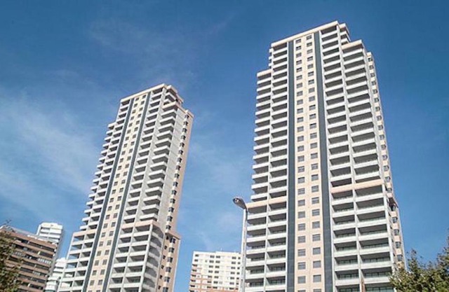 Torres Doboe Blueline