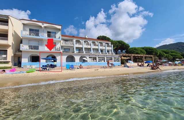 Très bel Appartement SUR la Plage, vue mer Panoramique ! Coup de Coeur Assuré !
