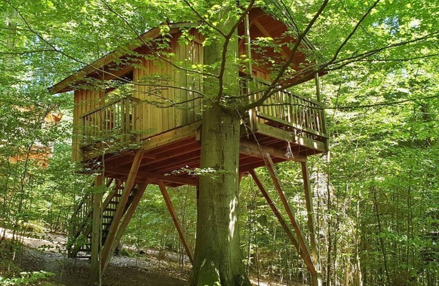 Tree house refuge, living/sleeping room - Baumhaushotel Solling