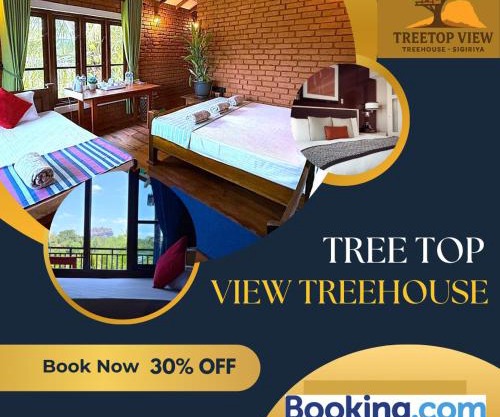Tree Top View Tree House