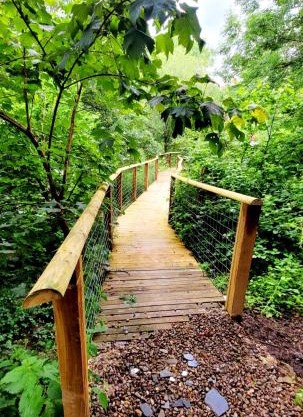 Treehouse In Devon - riverside woodland hideaway