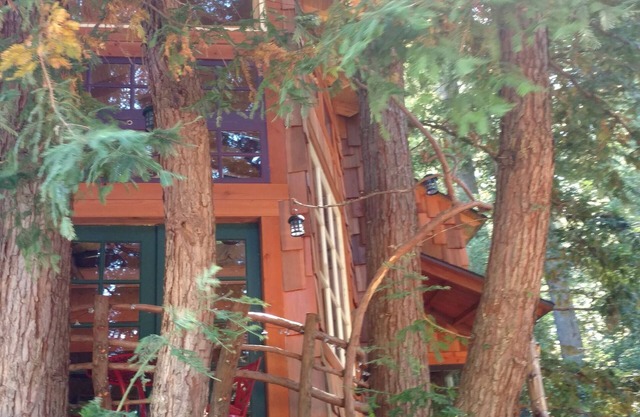 Treehouse in the Los Gatos Mountains, Redwoods, Beaches & Silicon Valley