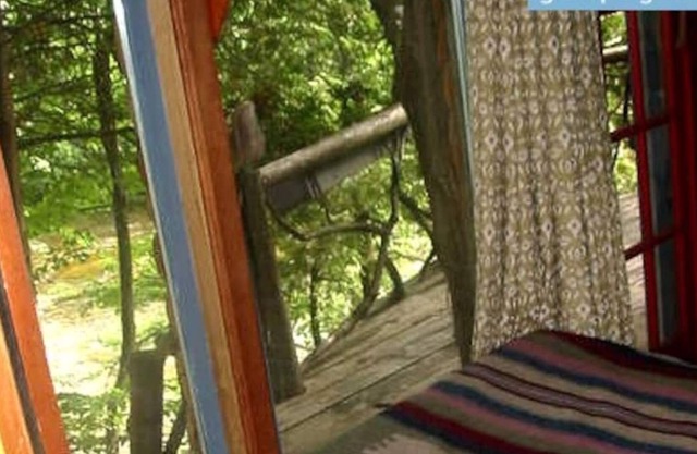 Treehouse perched on the water’s edge