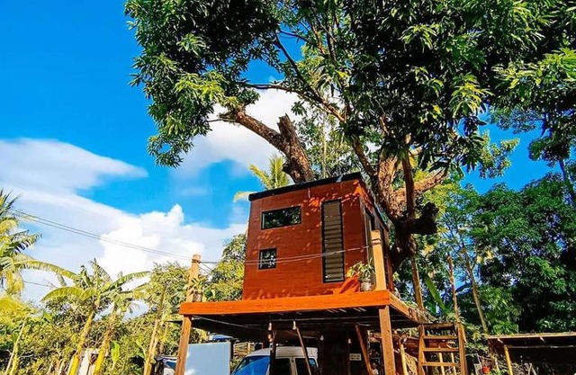 Treehouse