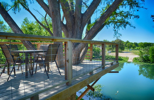 Treetop River Cabins