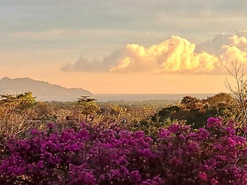 Tucanes Ridge Bed and Breakfast
