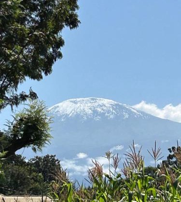 Tukutane Kilimanjaro - Homestay