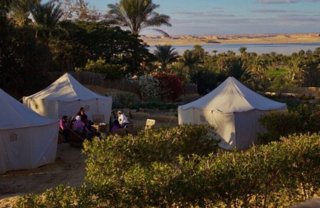 Tunis Tone - Tunis Village Campsite