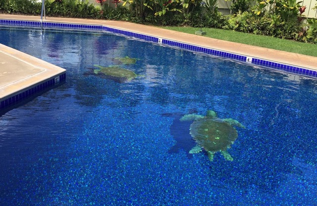 Turtle Bay Condo, 10 minute walk to beautiful beaches & so much more!