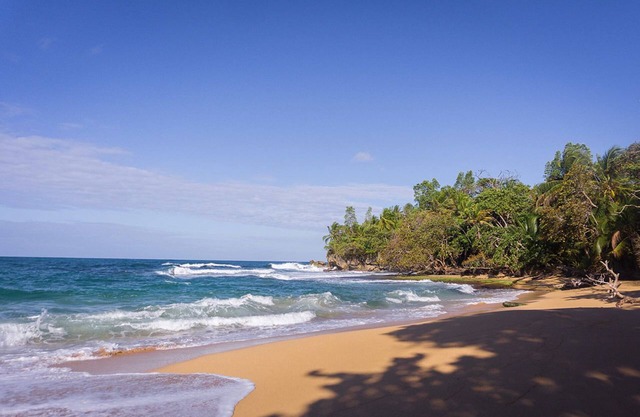 Turtle Beach House