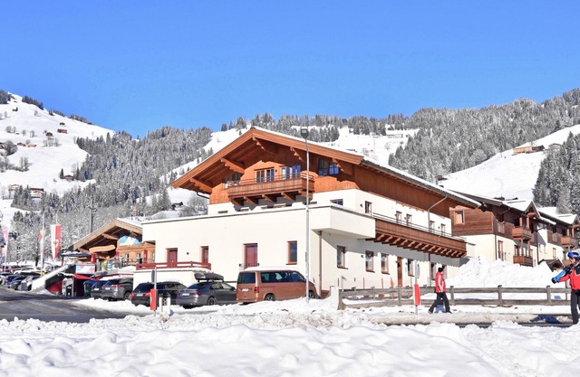 Two holiday apartments with spa near the gondola