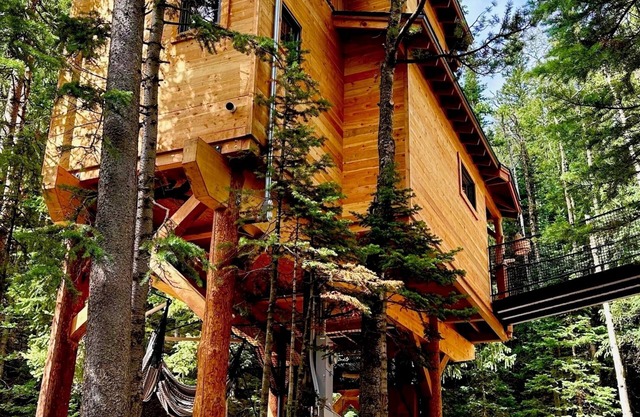 Ultimate Cabin and Treehouse experience - just 1 hour from Denver.