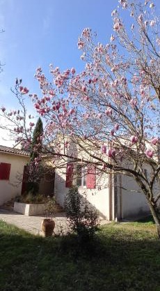 UNE CHOUETTE MAISON