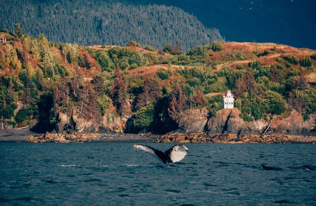 Unique Clifftop Lighthouse with stunning views of Kachemak Bay