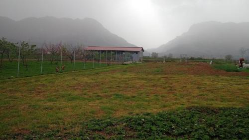 Unique Farm in Paleomonastiro