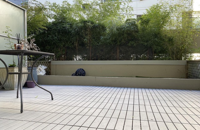 Urban Zen Studio suite - a cozy Central-city retreat, free parking