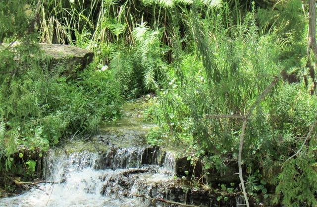 Utopia Springs at Lost Maples~Spring Fed Sabinal River Front - Serenity