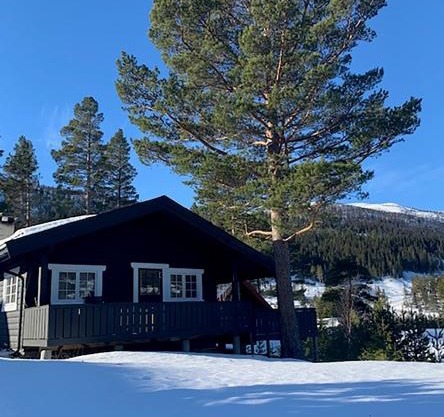 Uvdalhytta - close to cross country and downhill skiing